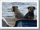 Eine Bootfahrt die... Eine Bootfahrt die...