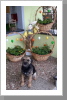 Schöne Ostern